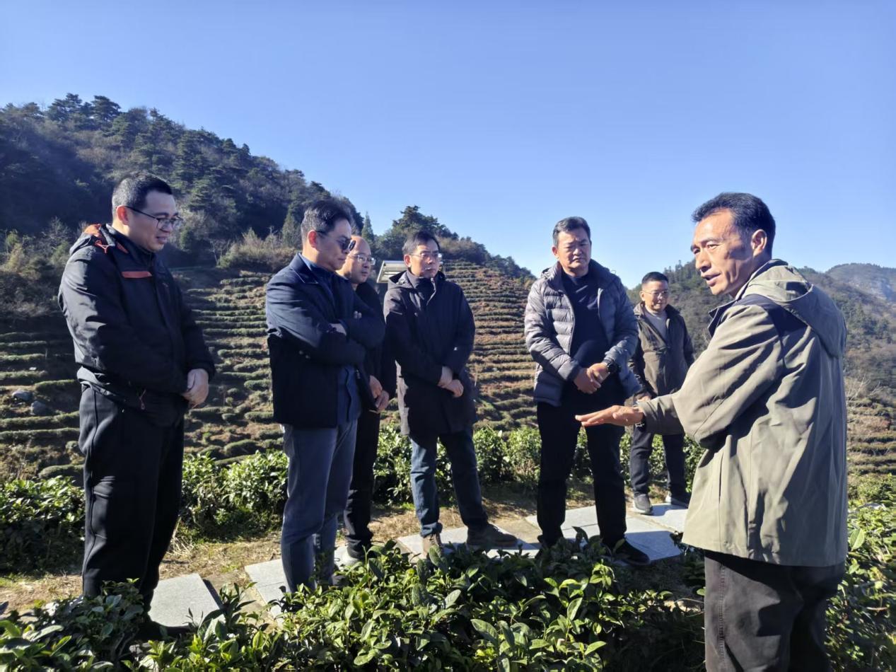 湖南政协新闻网