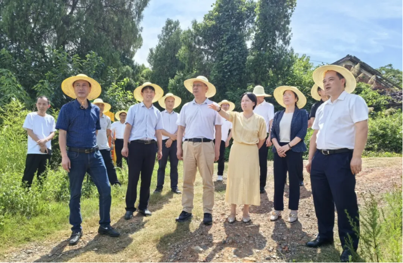 湖南政协新闻网