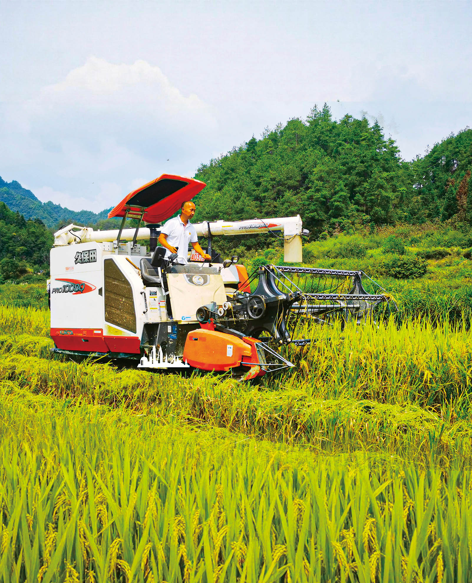 湖南政协新闻网