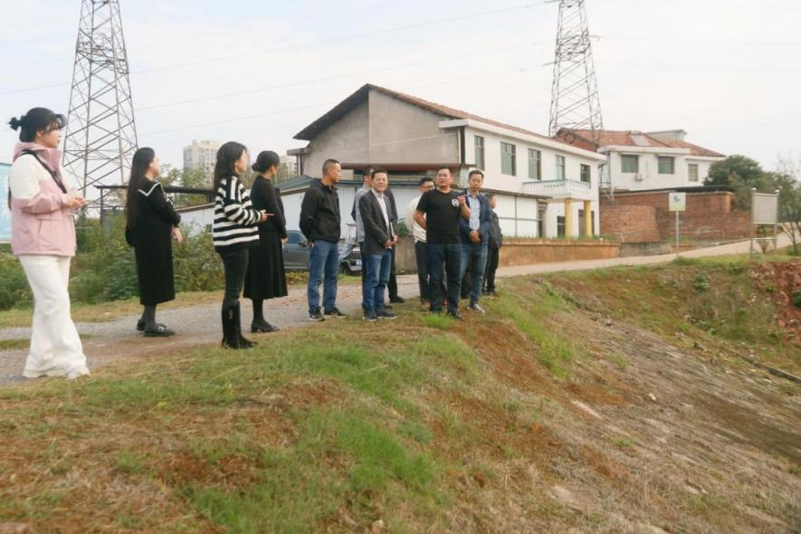 湖南政协新闻网