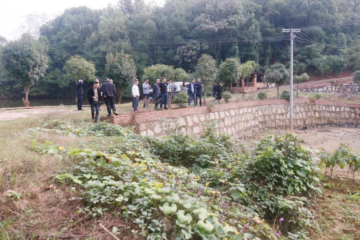 湖南政协新闻网