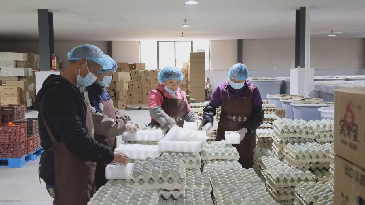 湖南政协新闻网 湖南政协新闻网