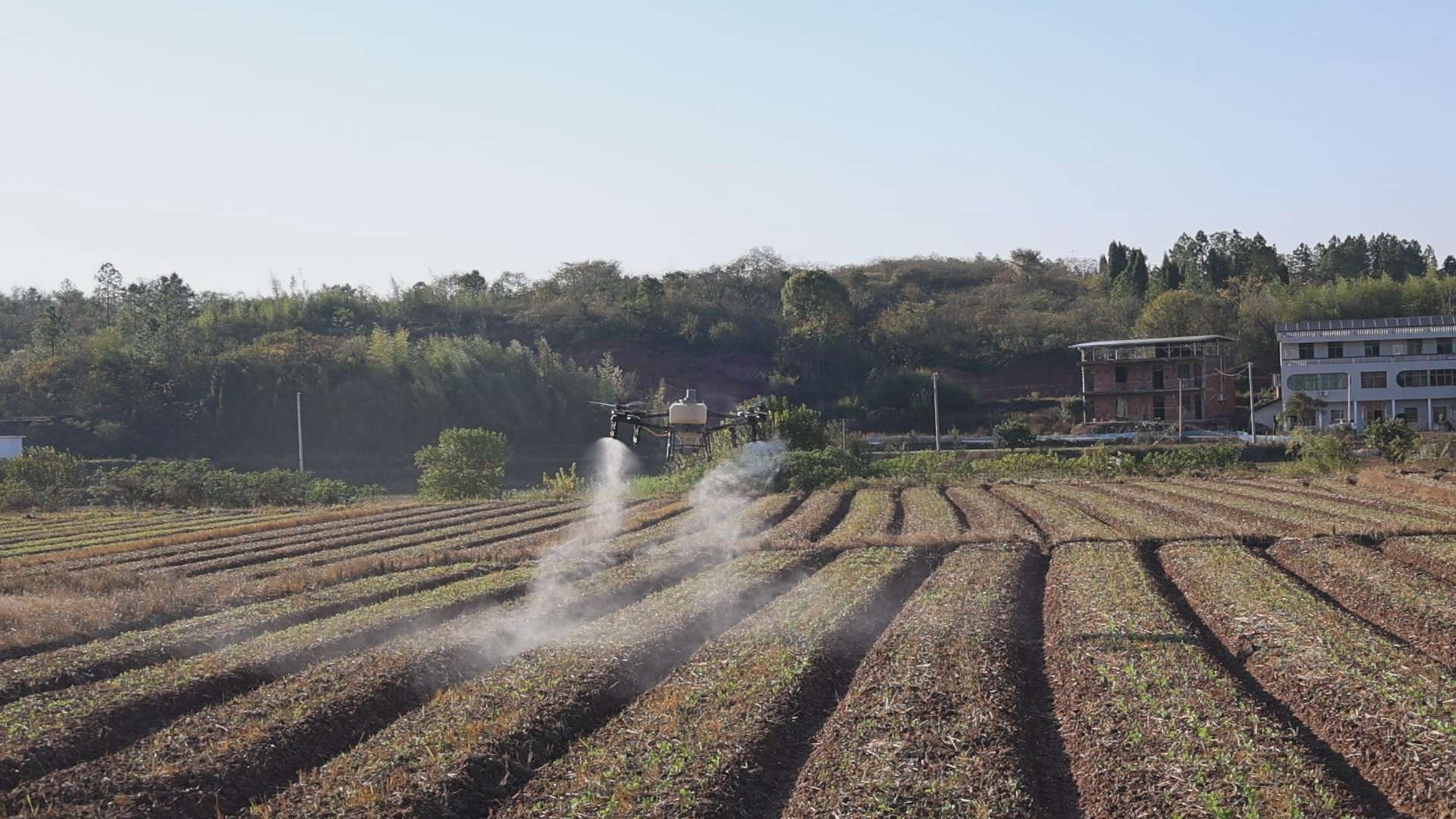 湖南政协新闻网 湖南政协新闻网