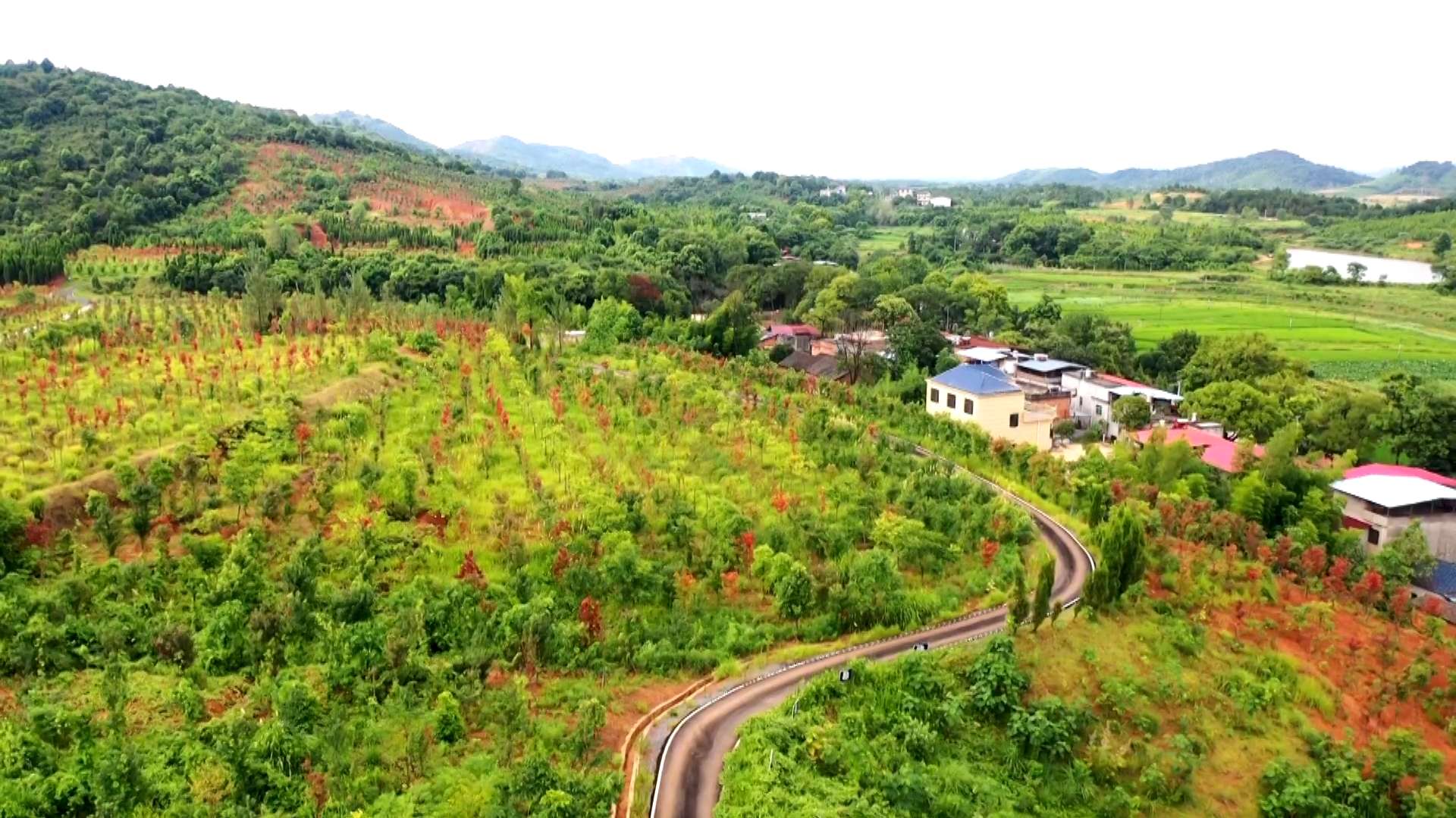 湖南政协新闻网