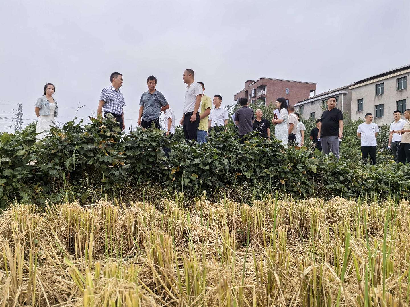 湖南政协新闻网