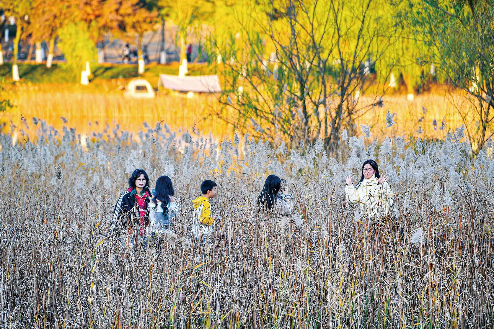 湖南政协新闻网 湖南政协新闻网