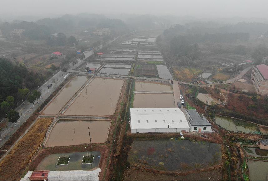 湖南政协新闻网