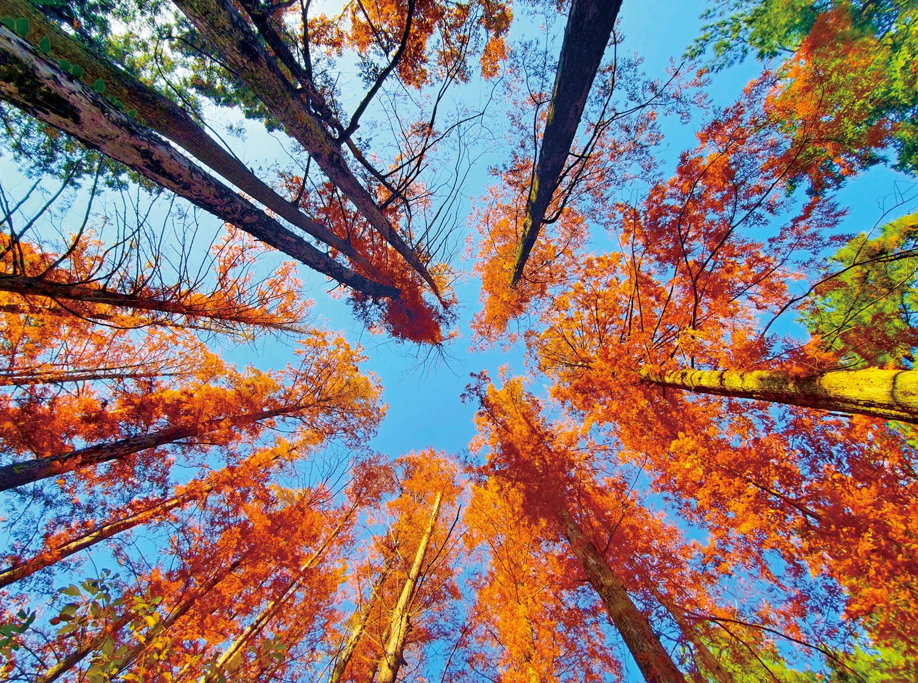 湖南政协新闻网 湖南政协新闻网