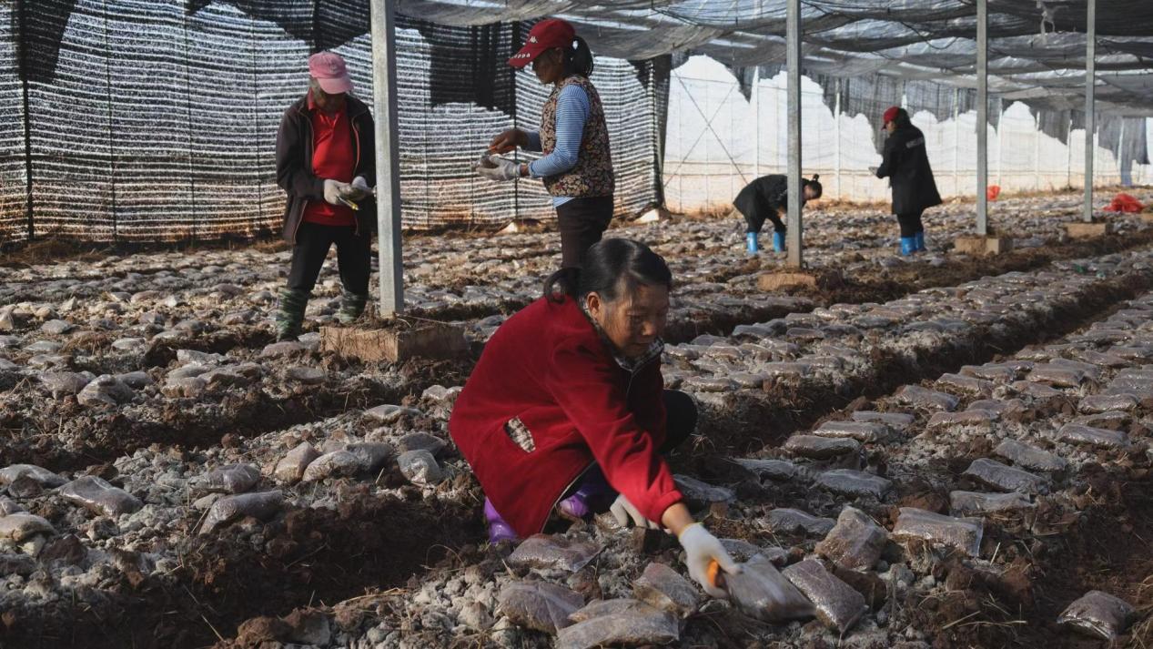 湖南政协新闻网