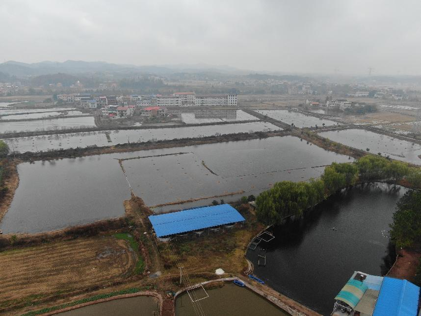 湖南政协新闻网