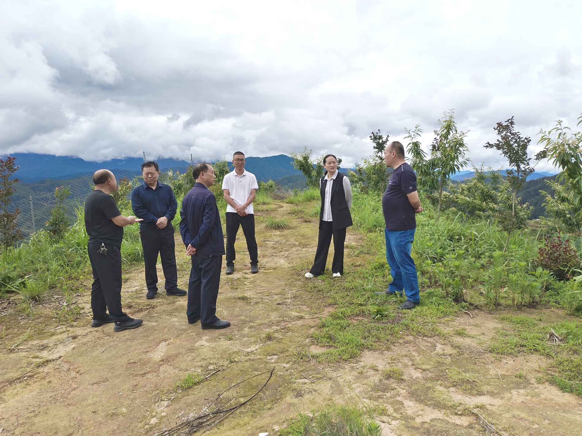 湖南政协新闻网