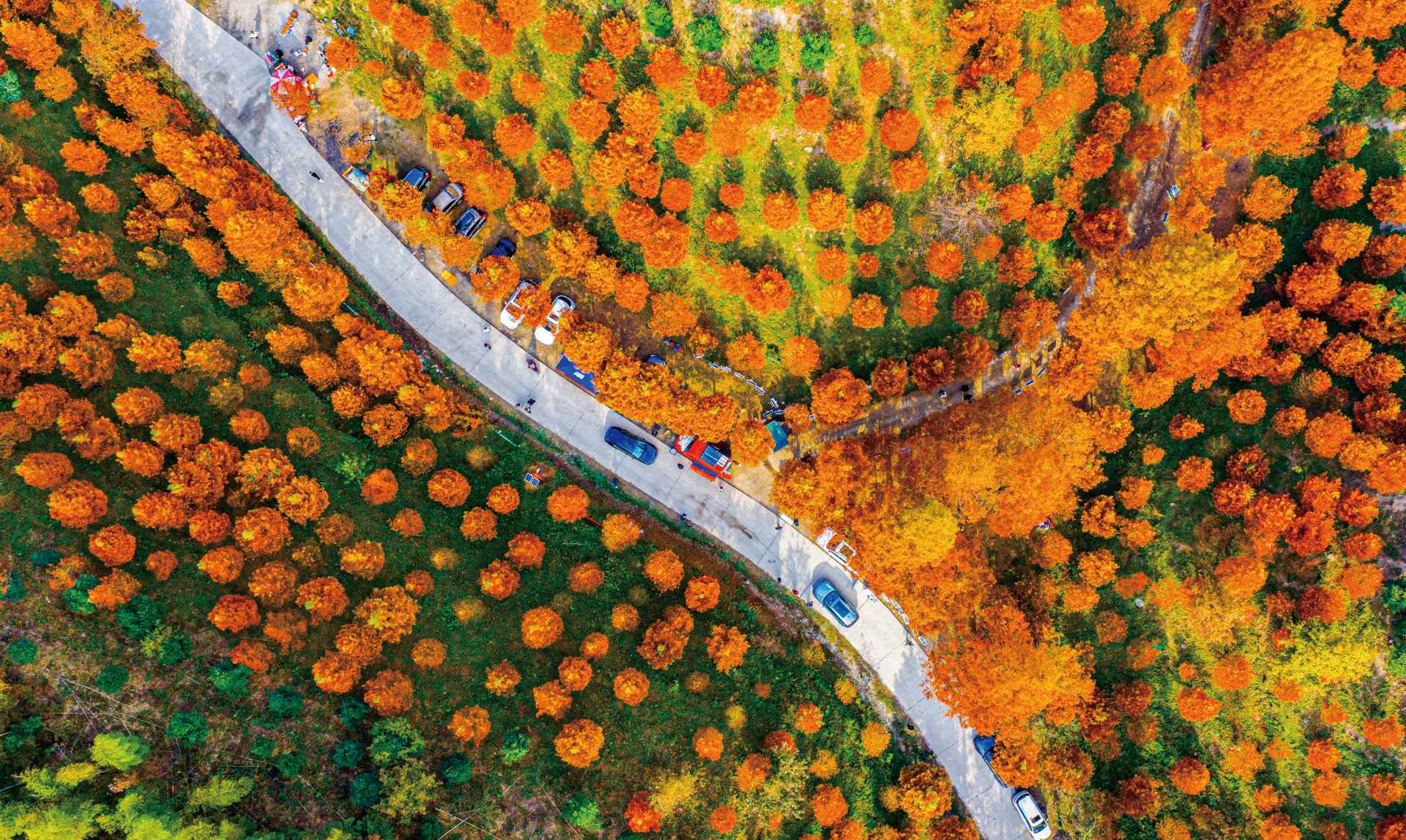 湖南政协新闻网 湖南政协新闻网