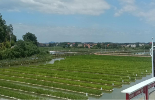 湖南政协新闻网