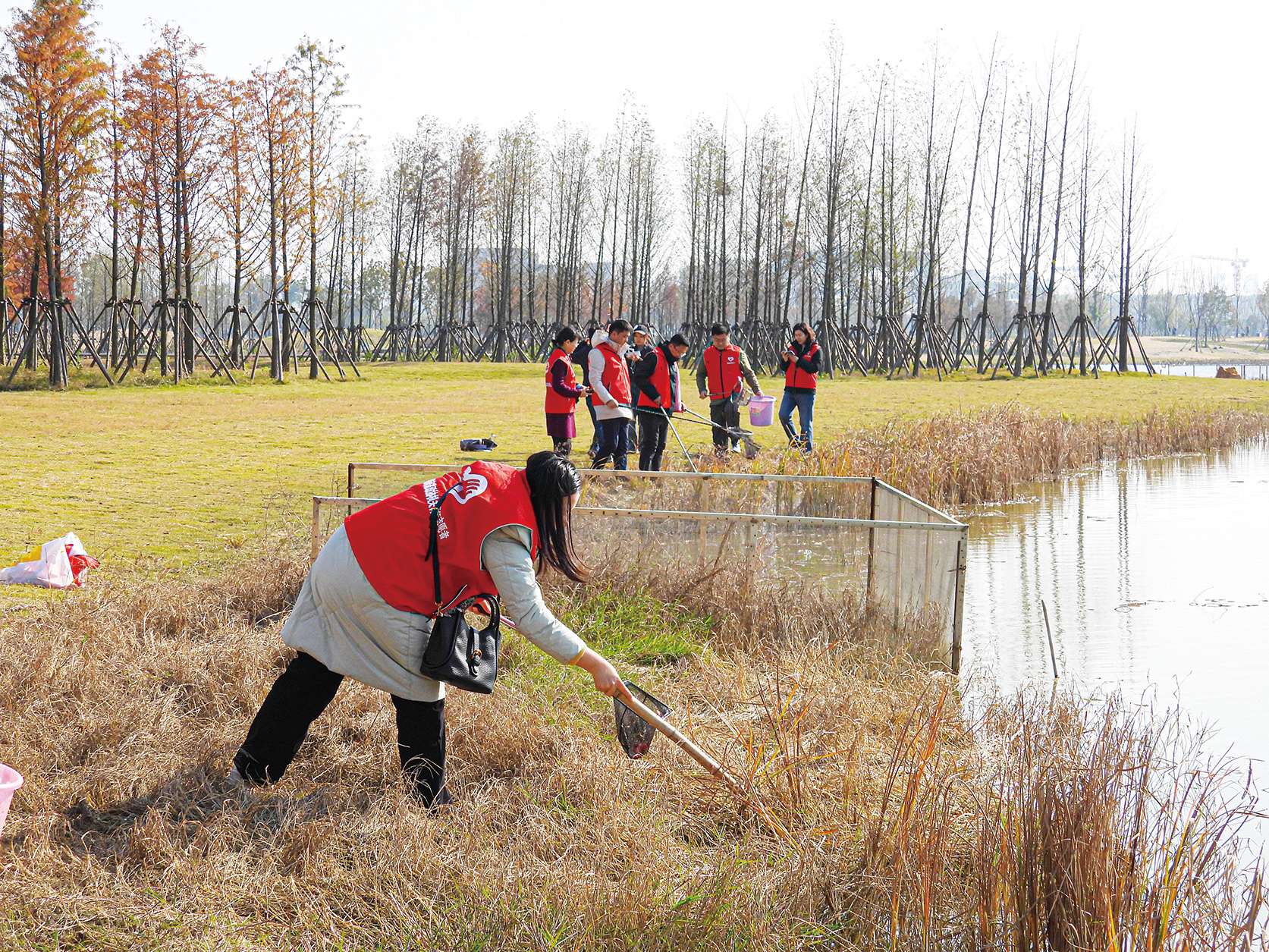 湖南政协新闻网