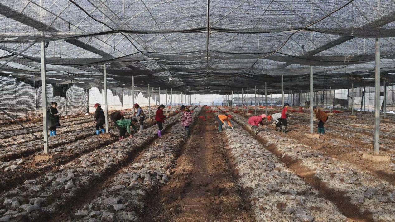 湖南政协新闻网