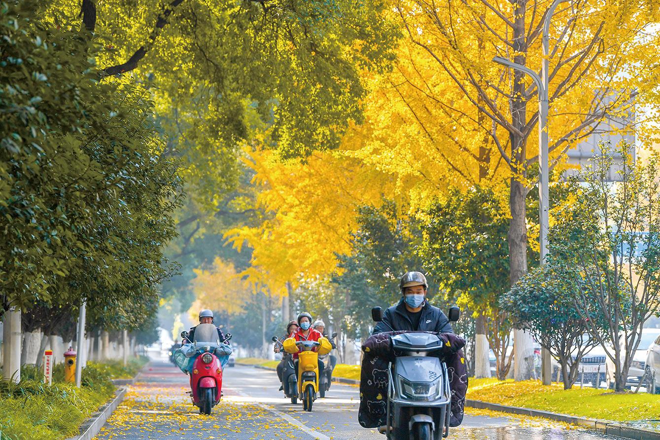 湖南政协新闻网 湖南政协新闻网