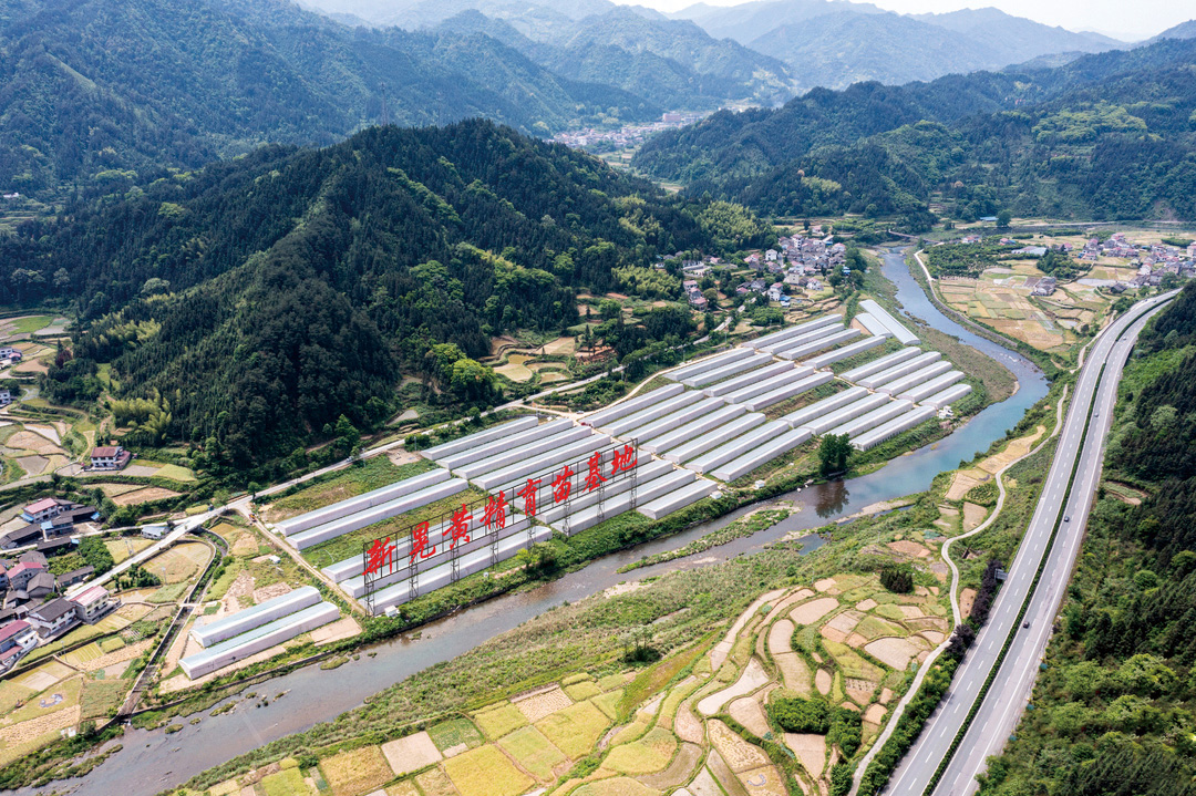 湖南政协新闻网