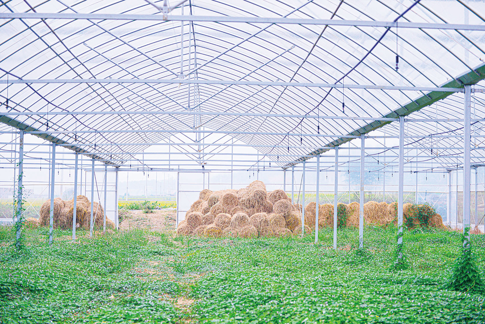 湖南政协新闻网 湖南政协新闻网