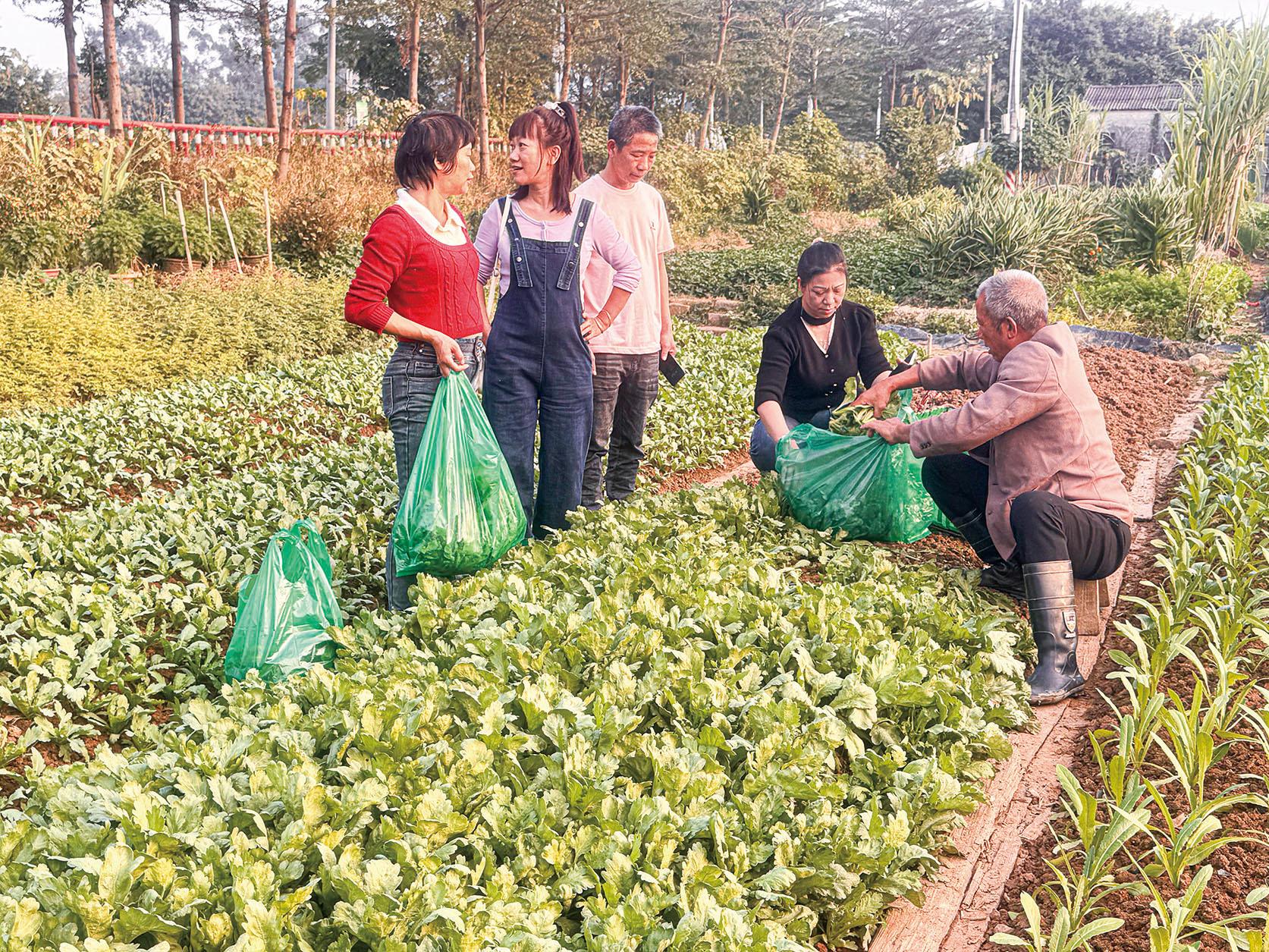 湖南政协新闻网