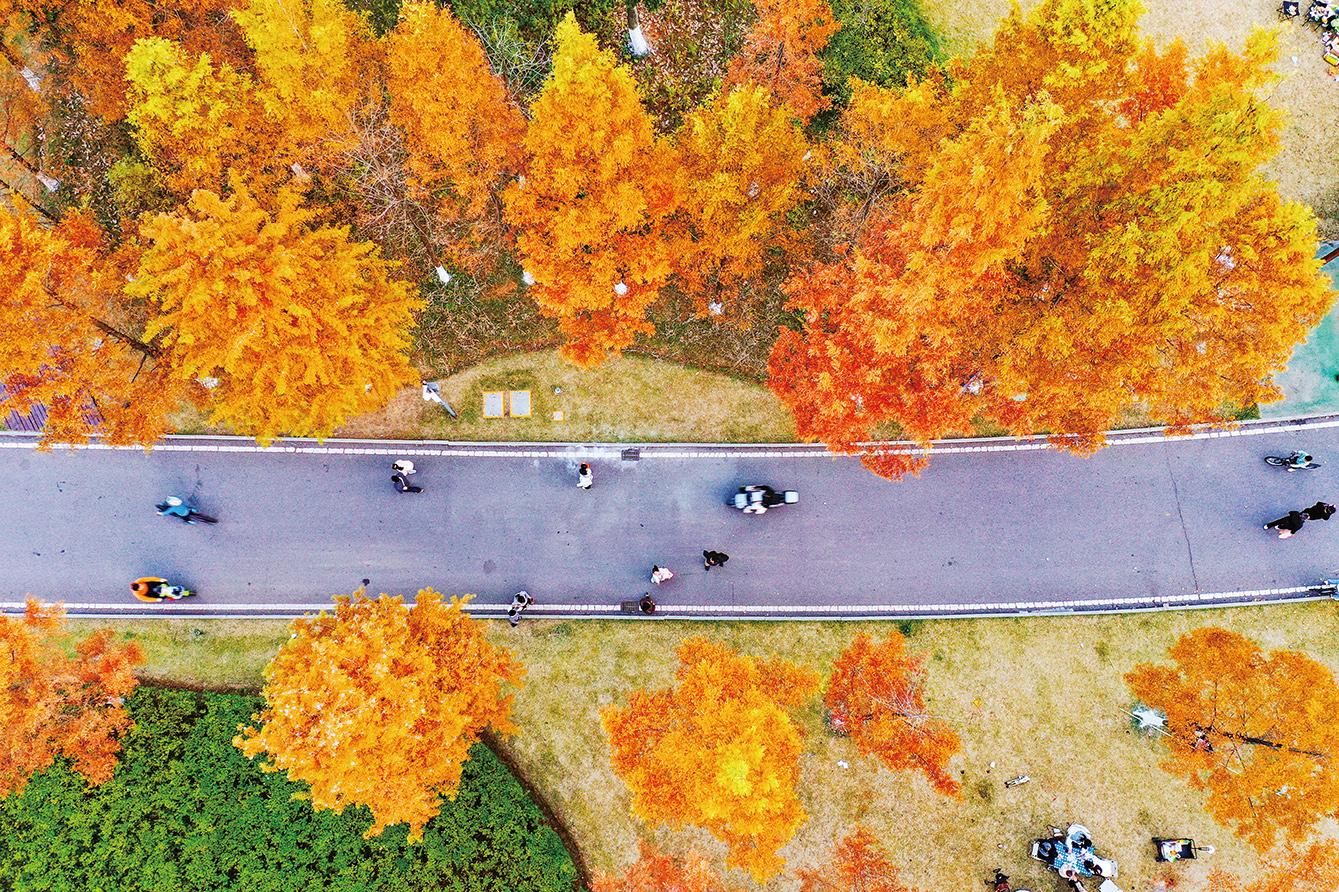 湖南政协新闻网 湖南政协新闻网