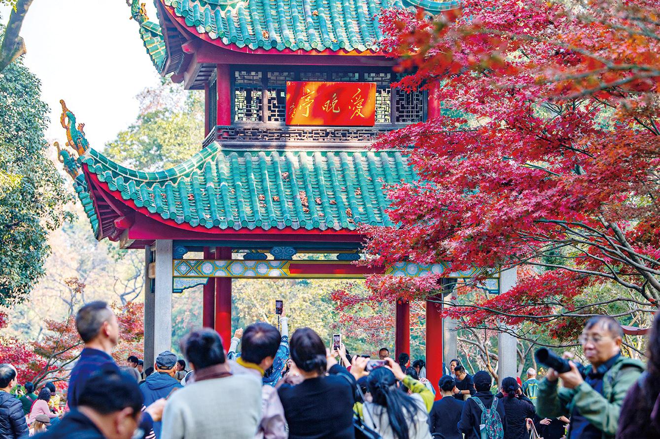 湖南政协新闻网 湖南政协新闻网