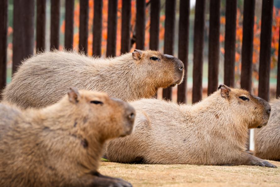 湖南政协新闻网