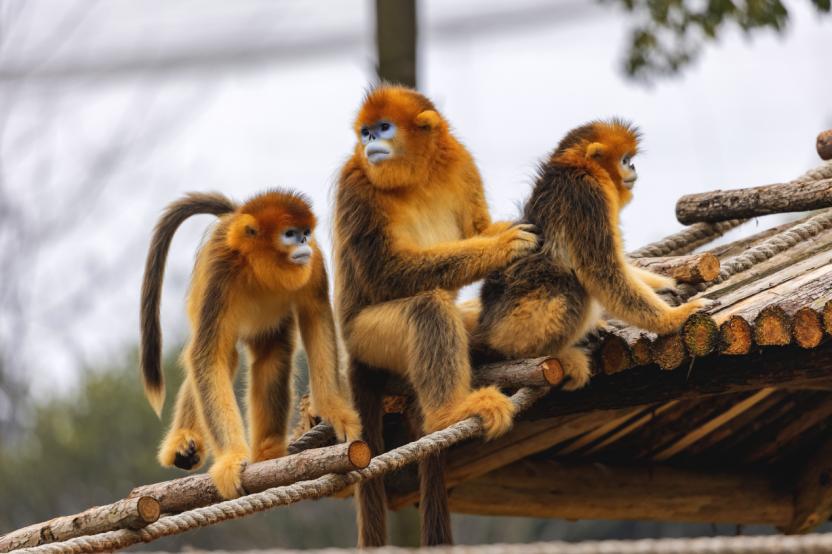 湖南政协新闻网