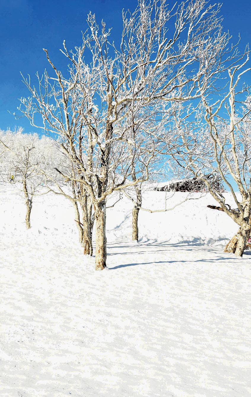 湖南政协新闻网