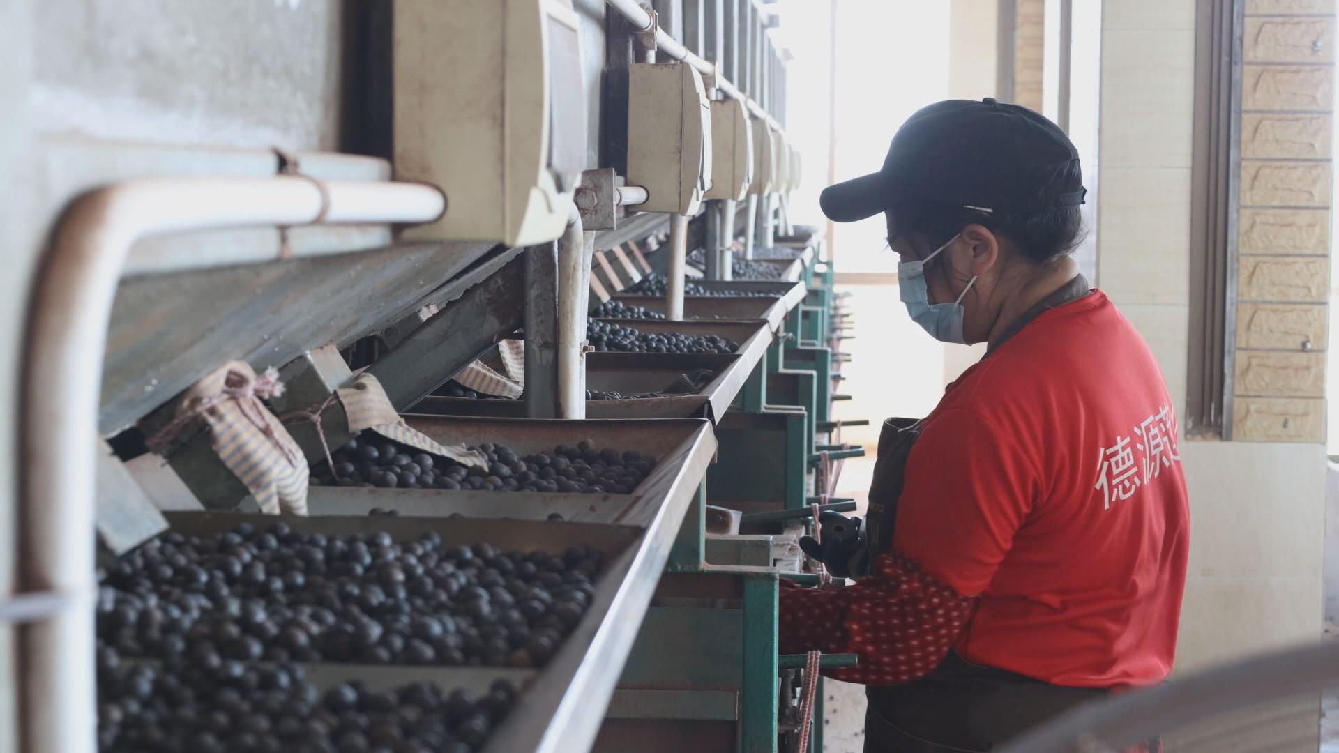 湖南政协新闻网