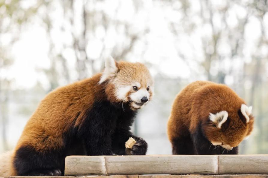 湖南政协新闻网