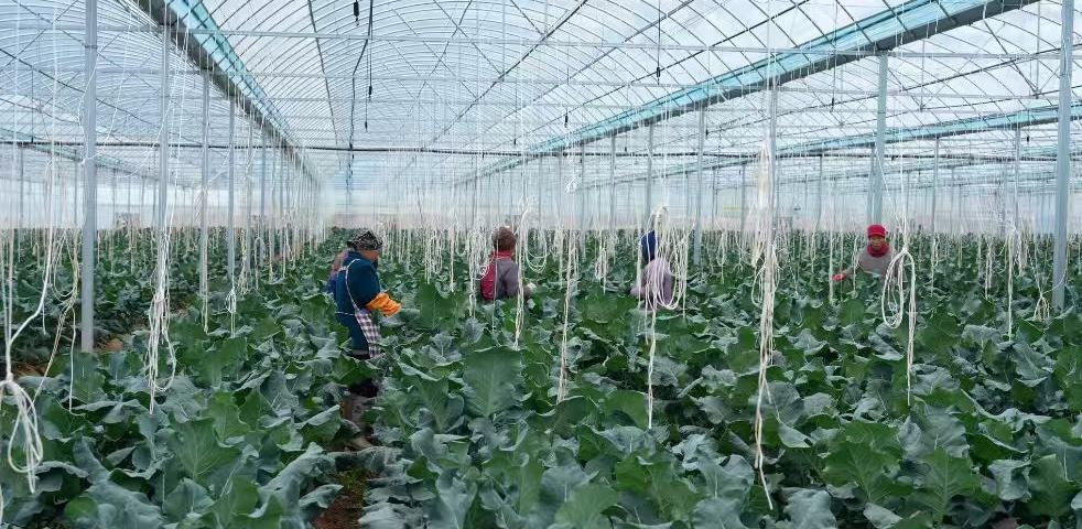 湖南政协新闻网