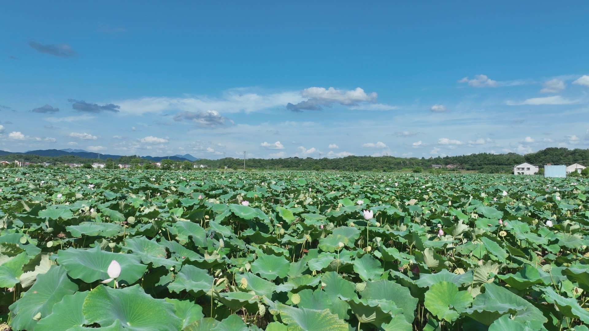 湖南政协新闻网