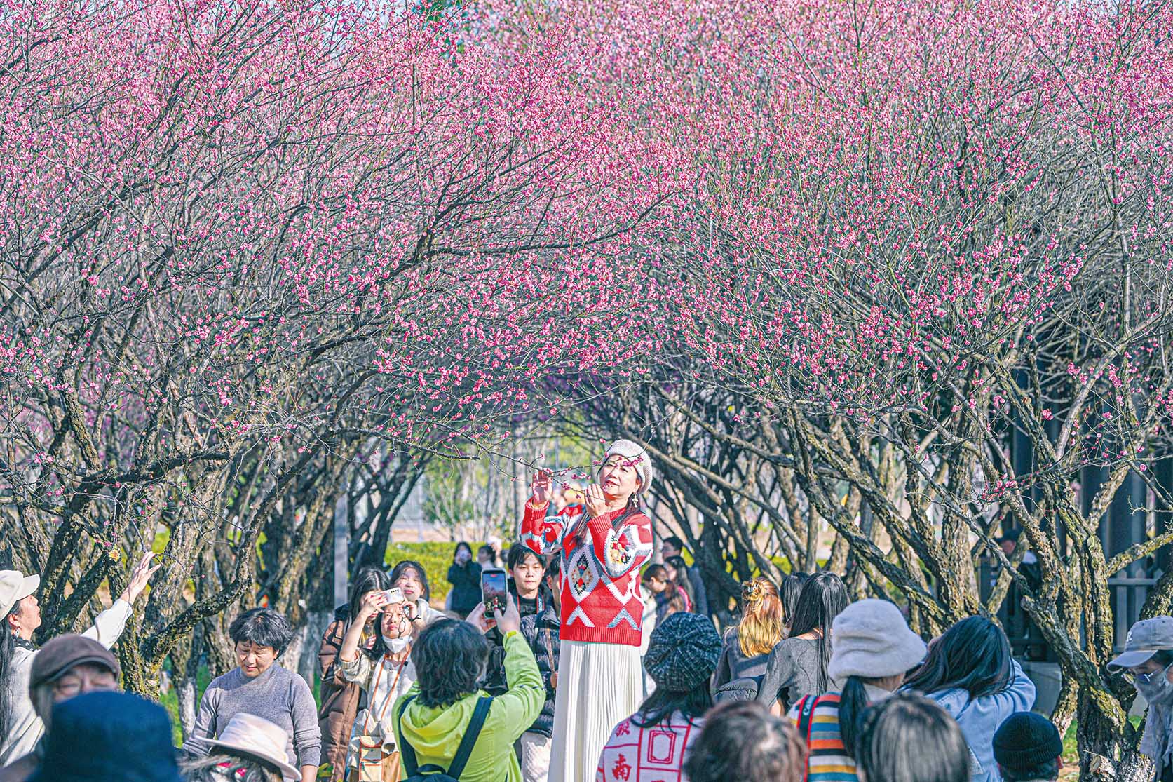 湖南政协新闻网