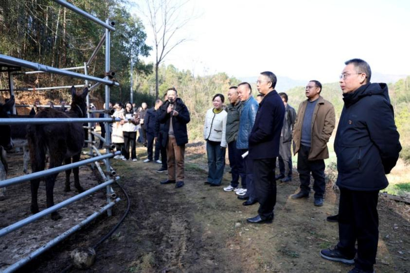 湖南政协新闻网