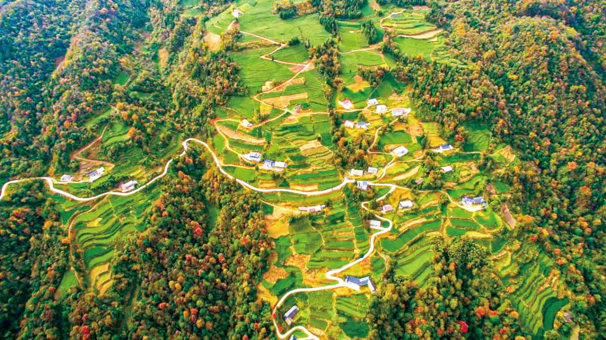 湖南政协新闻网