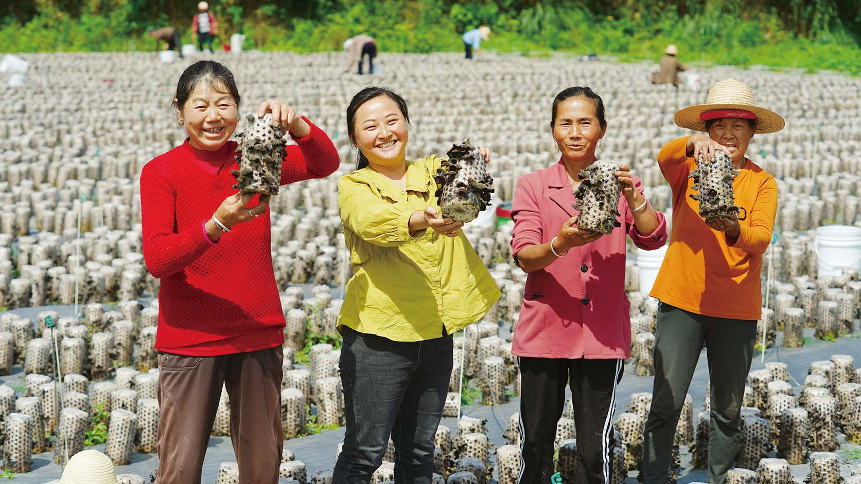 湖南政协新闻网