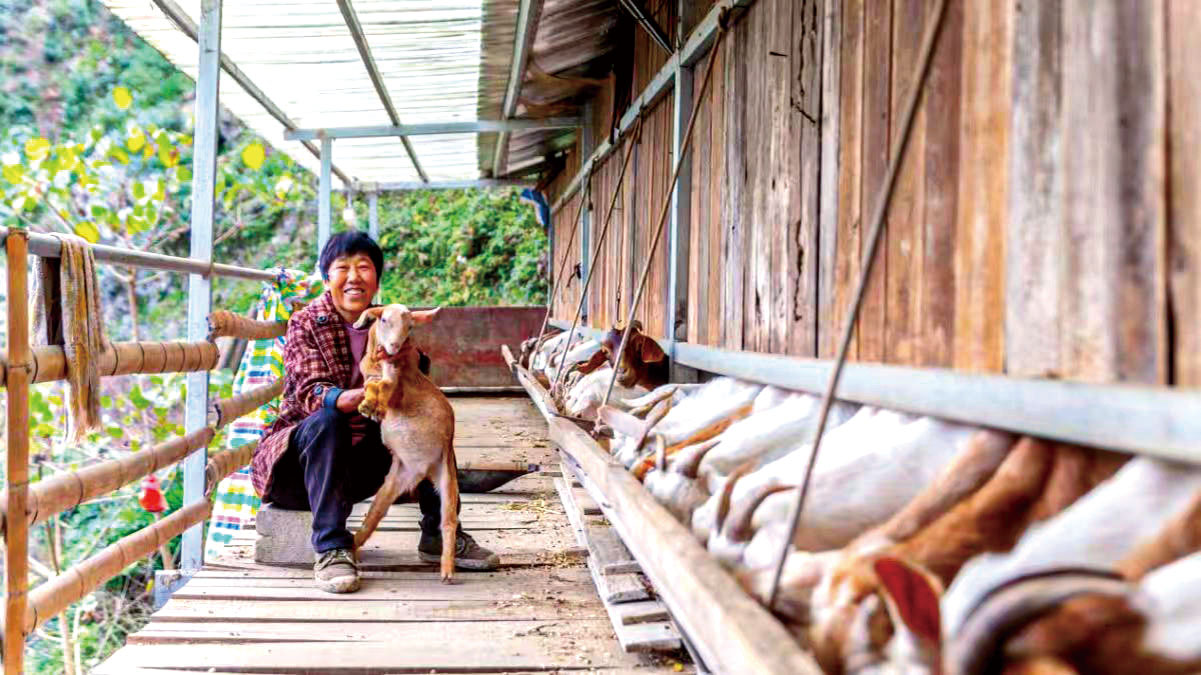 湖南政协新闻网