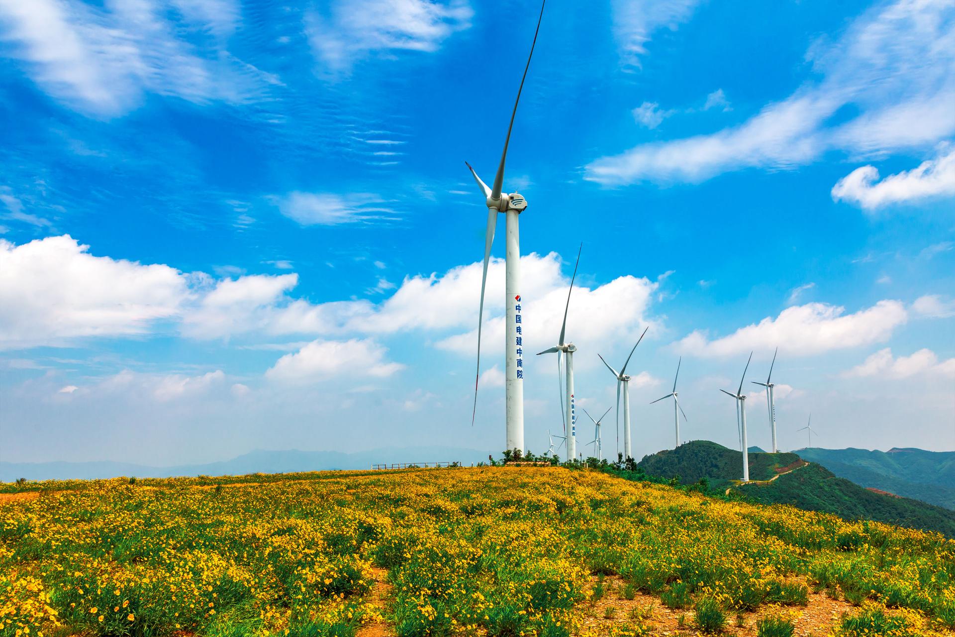 湖南政协新闻网