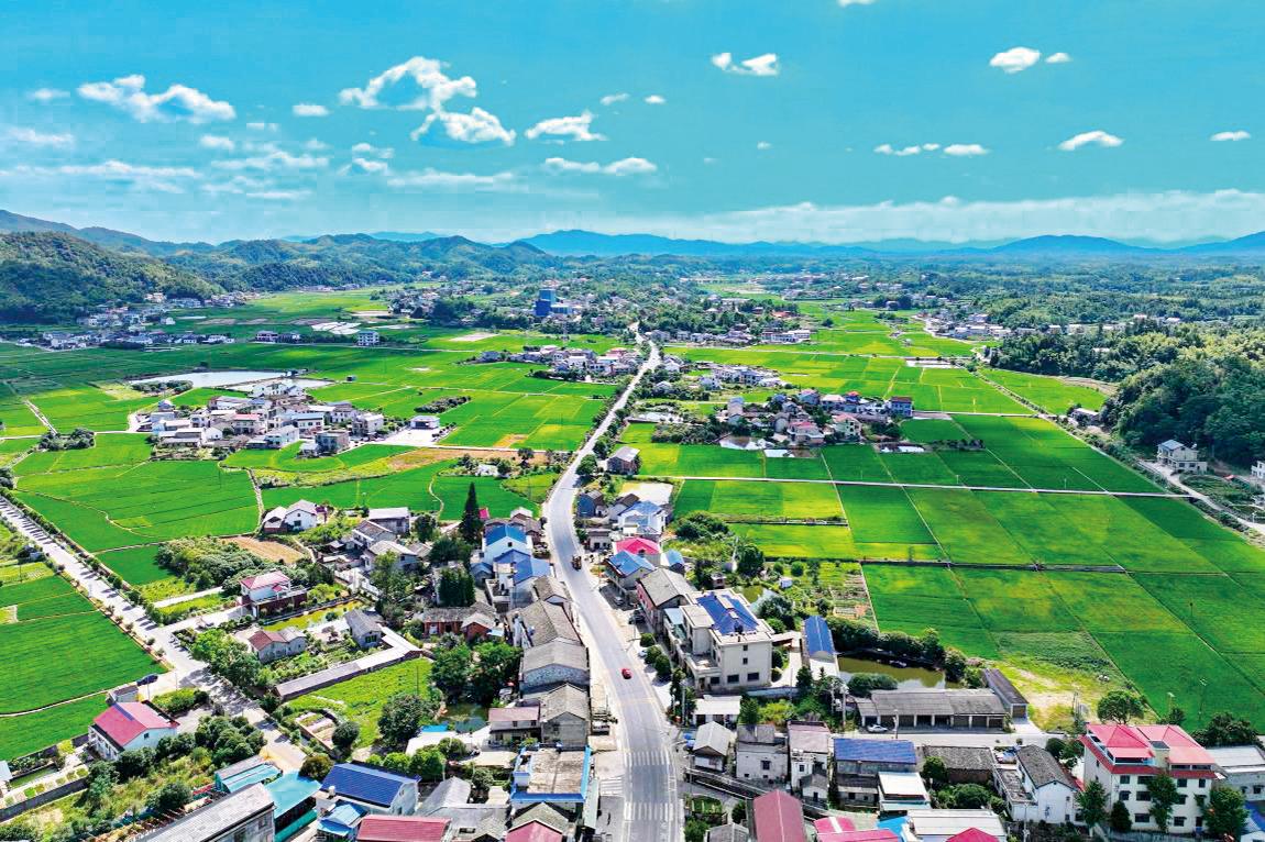 湖南政协新闻网