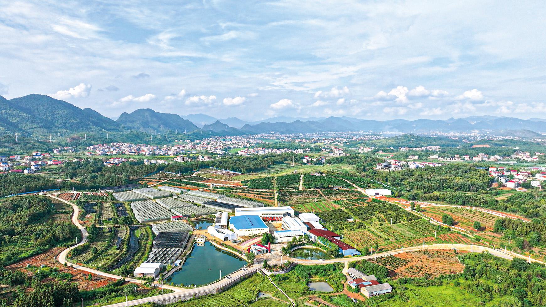 湖南政协新闻网