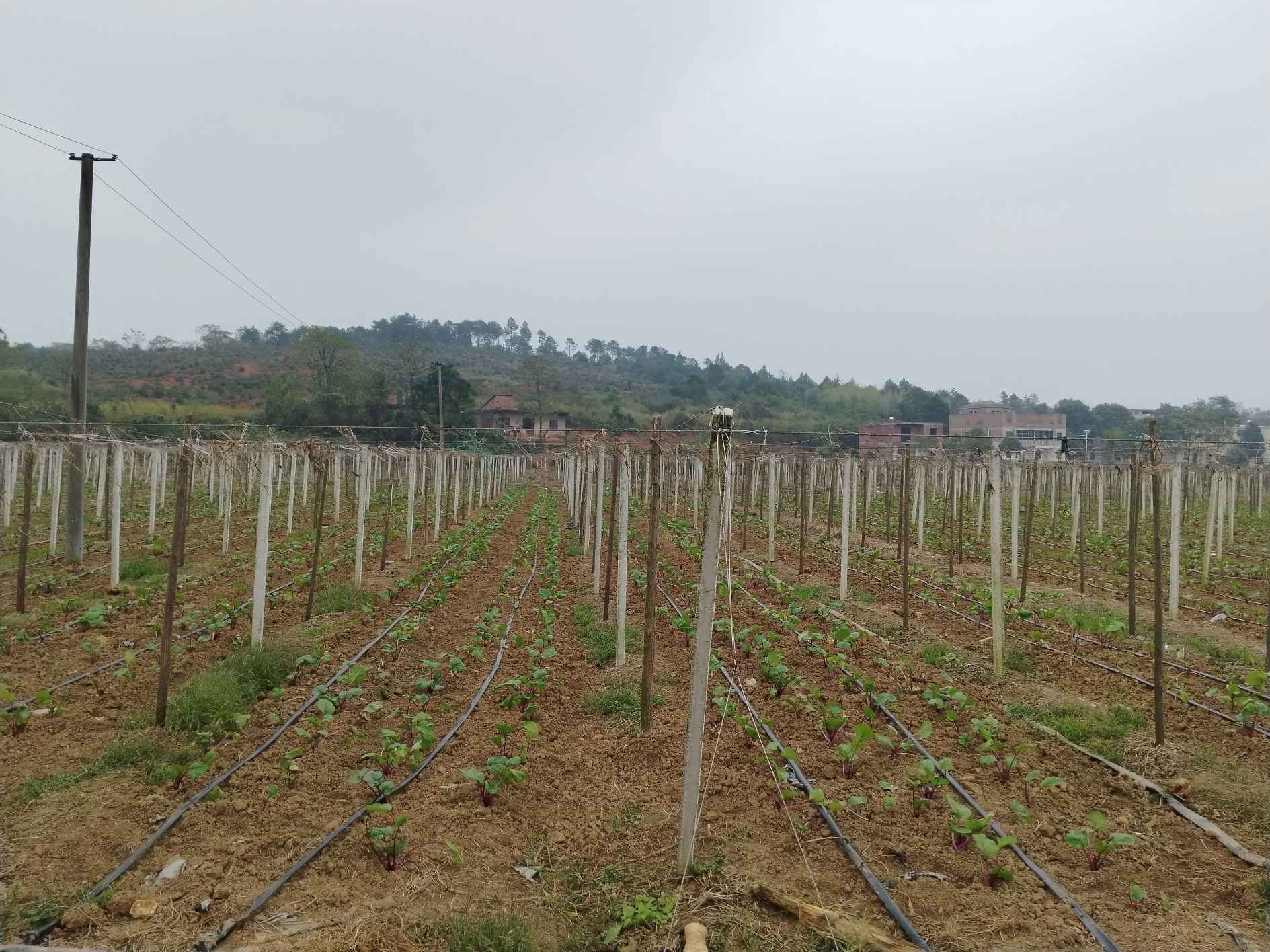 湖南政协新闻网 湖南政协新闻网