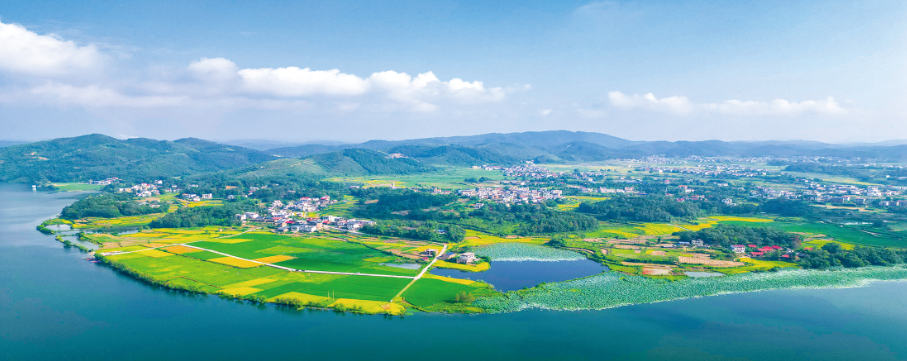 湖南政协新闻网 湖南政协新闻网