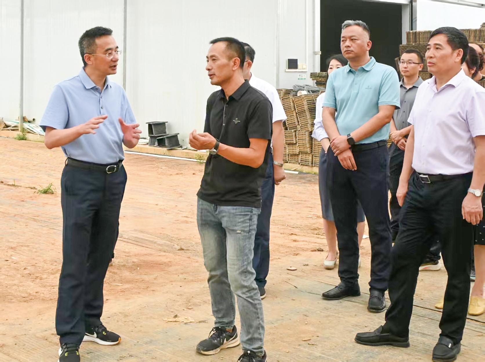 湖南政协新闻网