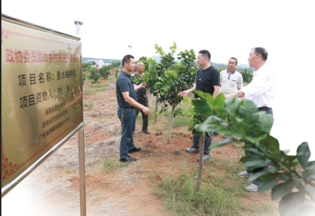 湖南政协新闻网