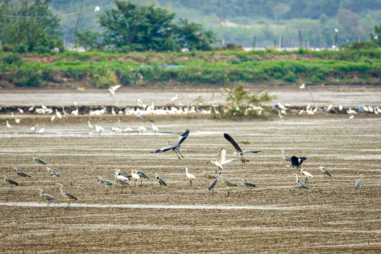 湖南政协新闻网