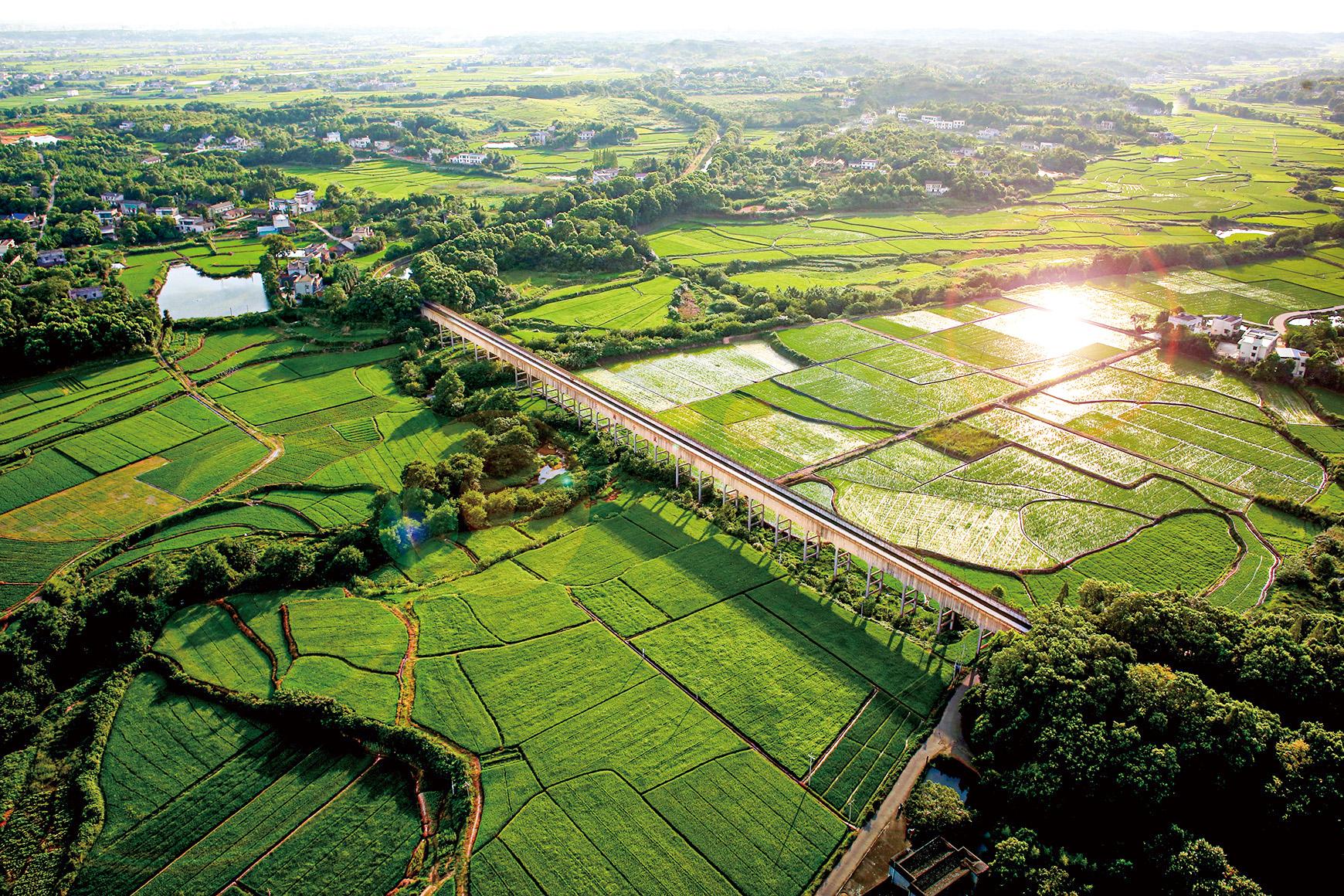 湖南政协新闻网