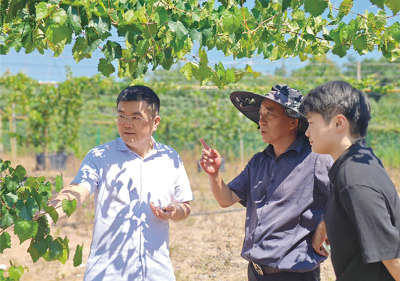 湖南政协新闻网