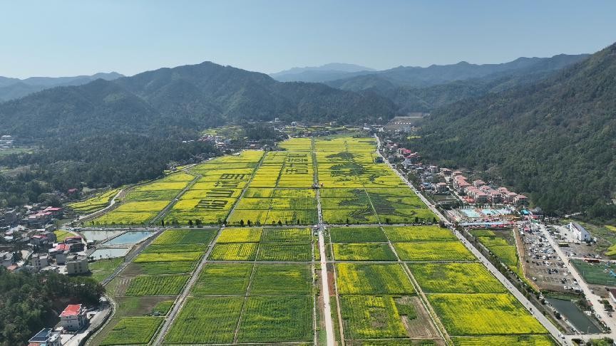 湖南政协新闻网