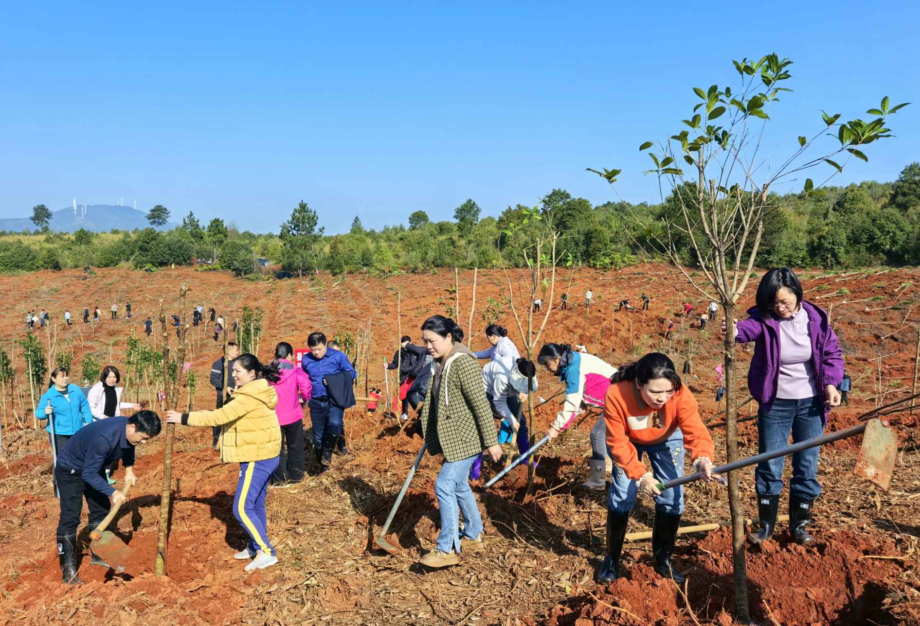 湖南政协新闻网