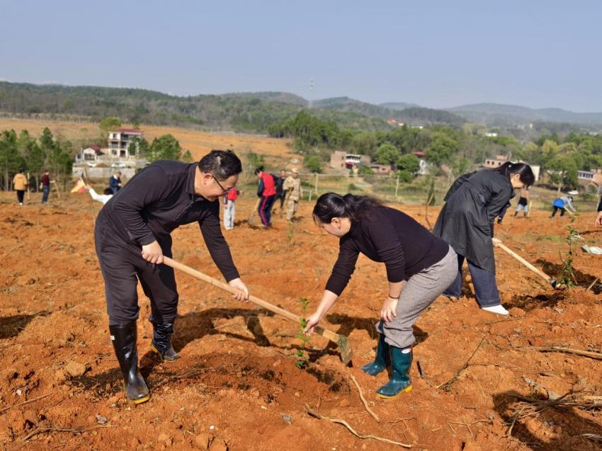 湖南政协新闻网